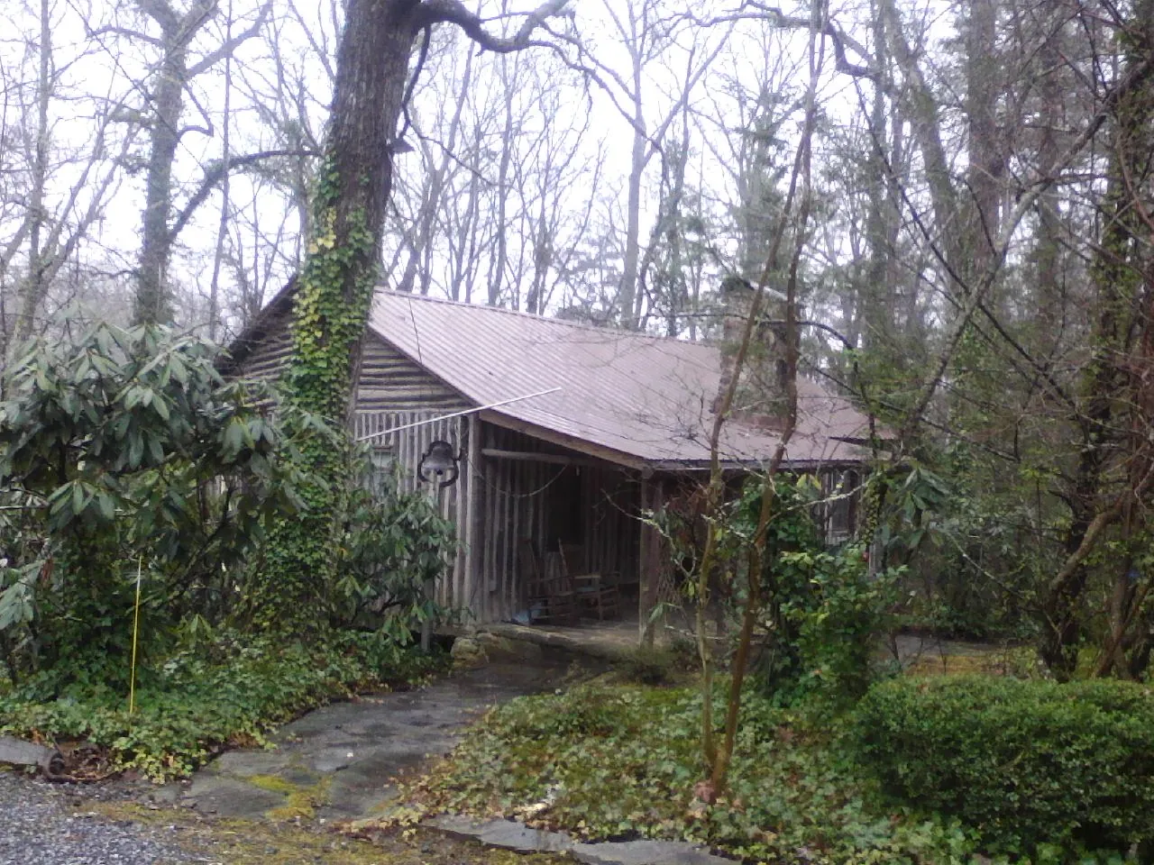 Weathered metal roof on an old board sided cabin in the woods in Irvington